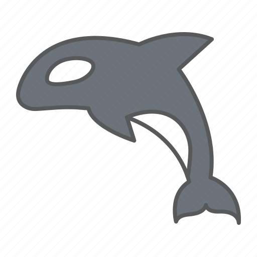 Orca, sea, ocean, animal, whale, wildlife, killer icon - Download on Iconfinder