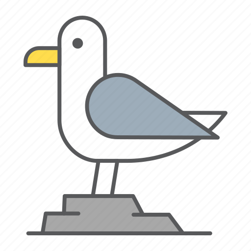 Seagull, herring, gull, bird, sea, ocean, beach icon - Download on Iconfinder