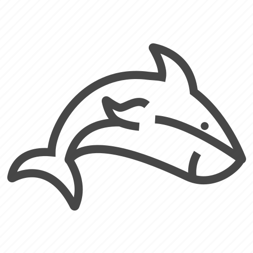 Animal, nautical, shark icon - Download on Iconfinder