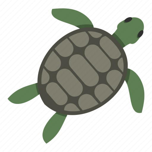 Animal, ocean, sea, turtle, underwater, white, wildlife icon - Download on Iconfinder
