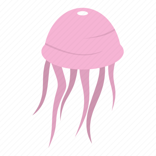 Animals, fish, interesting, jellyfish, ocean, octopus, sea icon - Download on Iconfinder
