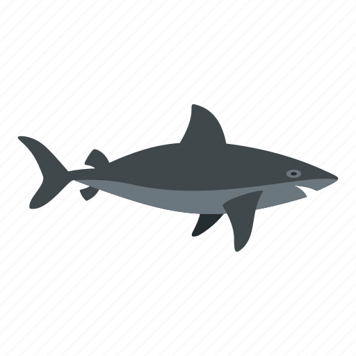 Fear, fish, horror, predator, sea, shark, teeth icon - Download on Iconfinder