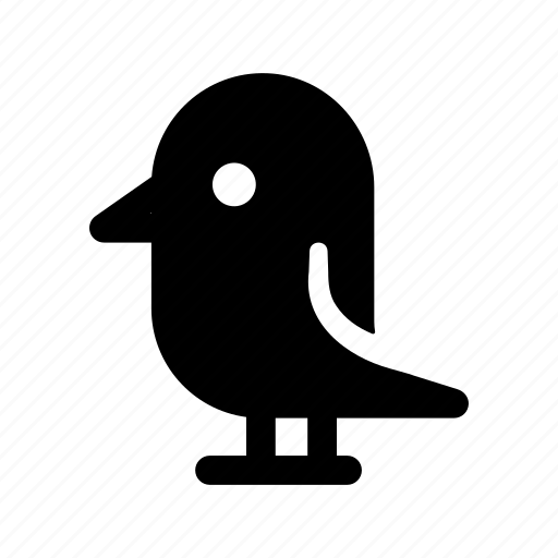 Seagull, bird, flying, coast, shore, ocean, animal icon - Download on Iconfinder
