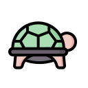 turtle, animal, ocean, reptile, sea