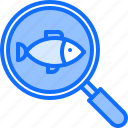 eat, fish, food, magnifier, restaurant, seafood, search