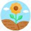 floral, nature, sunflower, helianthus, blossom 
