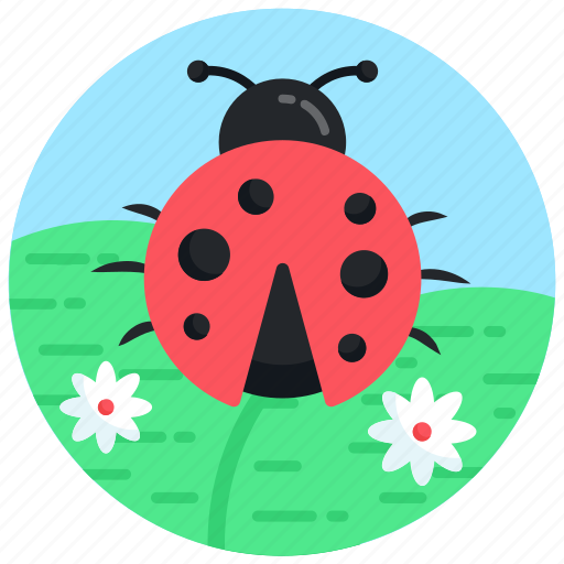 Lady beetle, ladybug, coccinellidae, insect, bug icon - Download on Iconfinder