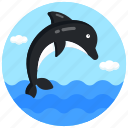 dolphin, porpoise, sea creature, fish, sea animal
