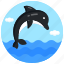dolphin, porpoise, sea creature, fish, sea animal 