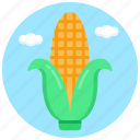 edible, maize, corn, organic food, healthy diet