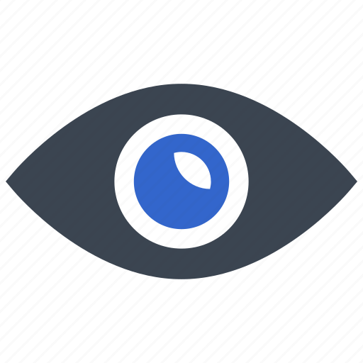 Eye, watch, view, look, monitor, observe, show icon - Download on Iconfinder