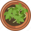 earthen, flowerpot, growth, plant, seeding, vegetation 