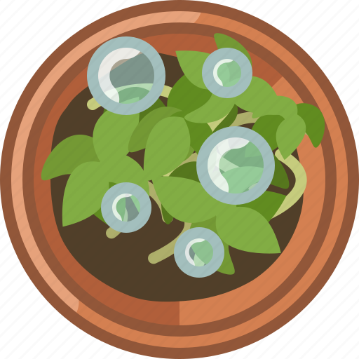 Drops, earthen, flowerpot, plant, seeding, watering icon - Download on Iconfinder