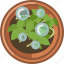 drops, earthen, flowerpot, plant, seeding, watering 