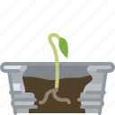 flower, growth, plant, pot, seeding, tin