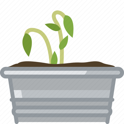 Flower, growth, plant, pot, seeding, tin icon - Download on Iconfinder