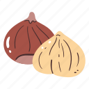 chestnut, nut, food, cooking, seasonal