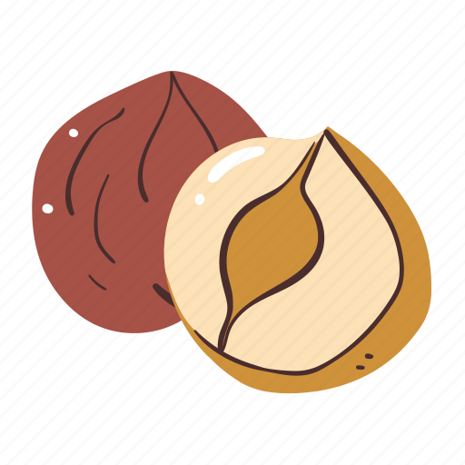 Hazelnut, nut, food, cooking, eat icon - Download on Iconfinder
