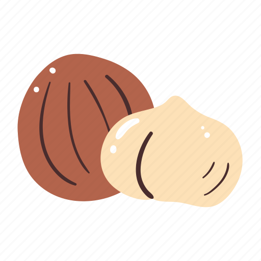 Macadamia, nut, food, protein, cooking, ingredient icon - Download on Iconfinder