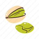 pistachio, nut, food, cooking, ingredient, snack, healthy, vegetarian