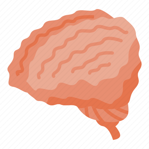Human, brain, isometric icon - Download on Iconfinder