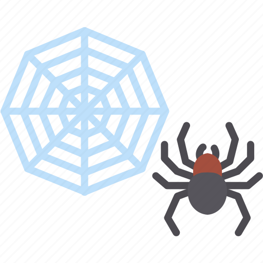 Dangerous, insect, poison, spider, tarantula, wildlife icon - Download on Iconfinder