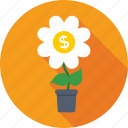 dollar, growth, income, investment, money plant 