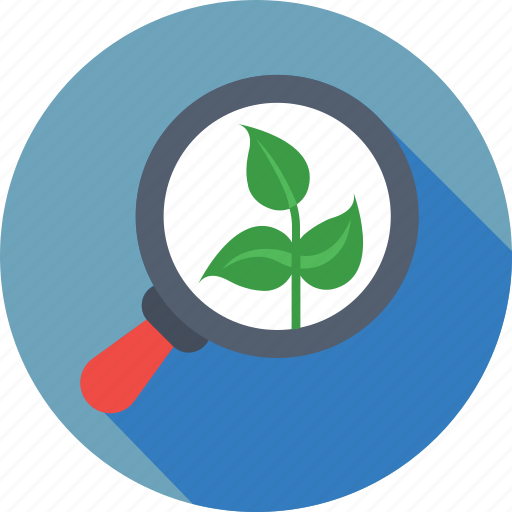 Botany, leaf, magnifier, organic seo, research icon - Download on Iconfinder