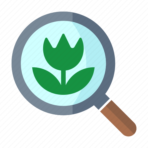 Flower, magnifier, search image icon - Download on Iconfinder