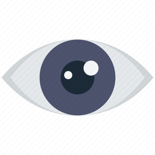 Seo, vision, eye, see, view, lens icon - Download on Iconfinder