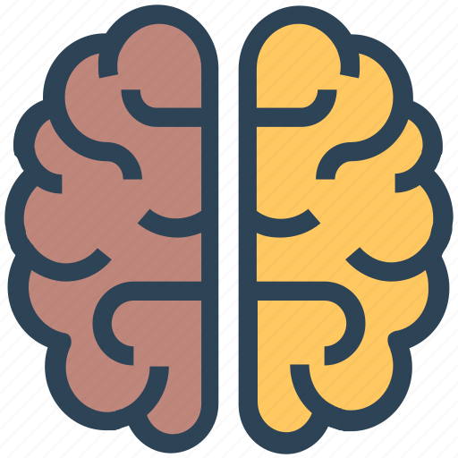 Brain, knowledge, mind, seo icon - Download on Iconfinder
