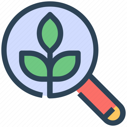 Leaf, magnify glass, organic, search, seo icon - Download on Iconfinder