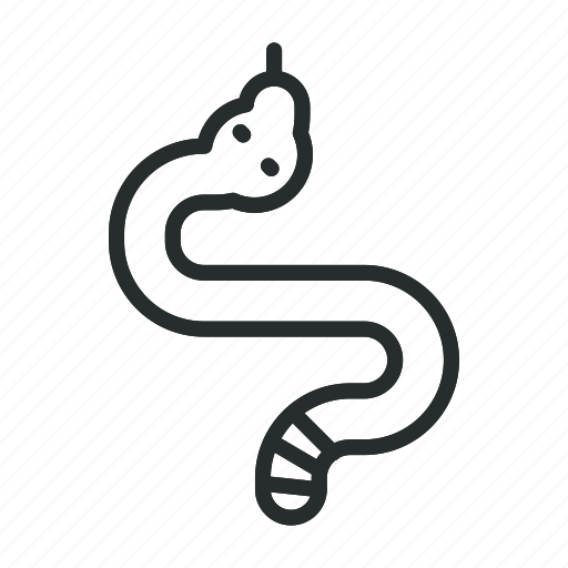 Snake, reptile, animal, wildlife, wild, viper, serpent icon - Download on Iconfinder