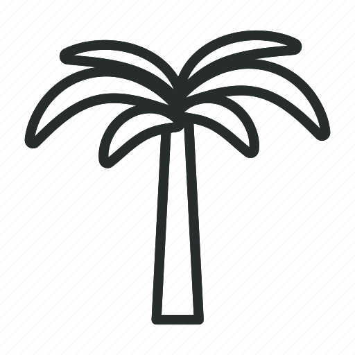 Palm, tropical, tree, summer, coconut, leaf, nature icon - Download on Iconfinder