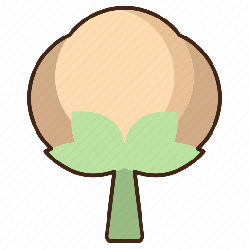 Cotton, plant, flower, nature, soft icon - Download on Iconfinder