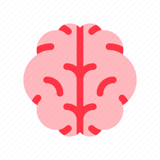 Brain, cognitive, accessability, learning, disability, knowledge, memory icon - Download on Iconfinder