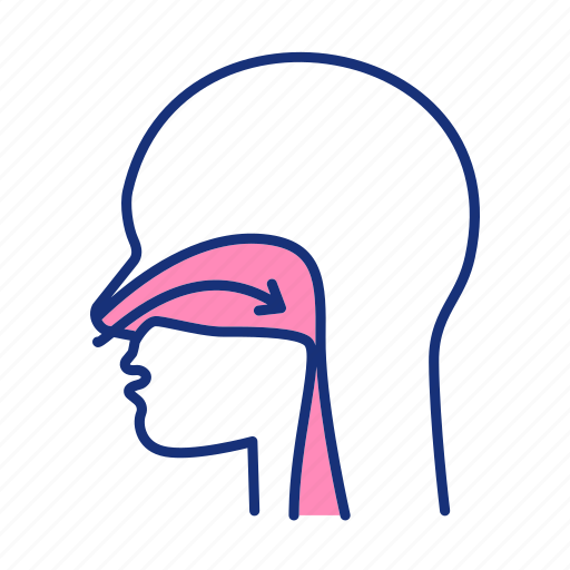 Nose, breath, anatomy, body icon - Download on Iconfinder