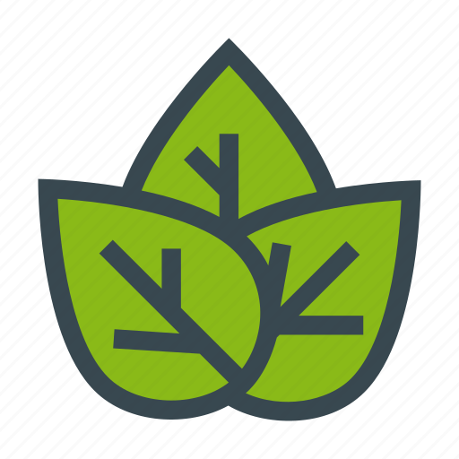 Eco, ecology, leafs, nature, plants icon - Download on Iconfinder