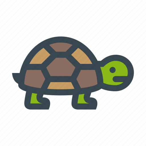 Animal, slow, tortoise, turtle icon - Download on Iconfinder