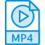 data, document, extension, file, mp4 