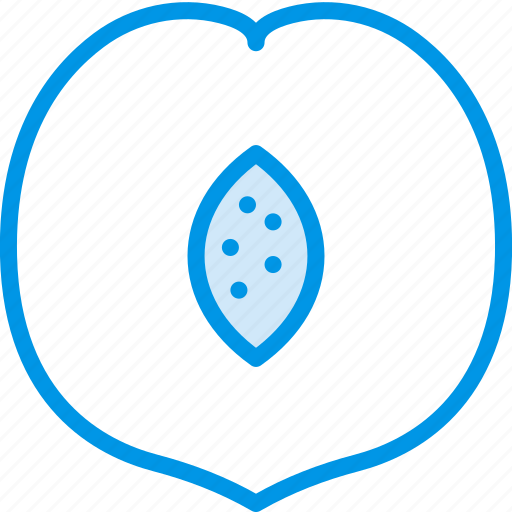 Cooking, food, gastronomy, peach icon - Download on Iconfinder
