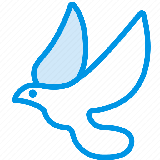 Belief, bird, dove, peace, religion, worship icon - Download on Iconfinder