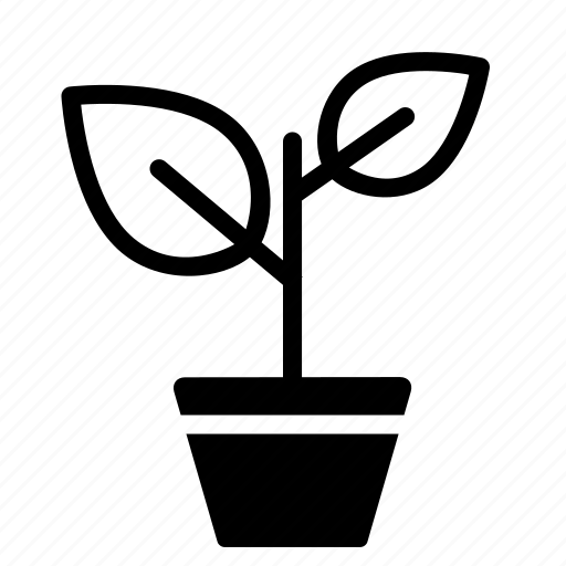 Flowerpot, leave, nature, plant, pot, tree icon - Download on Iconfinder