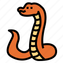 snake, cobra, reptile, animal, wildlife