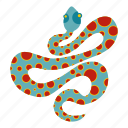 animal, blue, danger, orange, serpent, snake, spot 