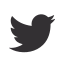 audio, bird, media, news, social, twitter, video 