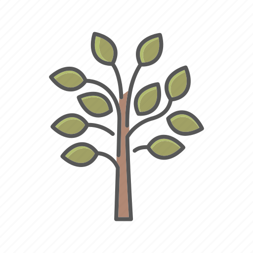 Ecology, environment, nature, plant, tree icon - Download on Iconfinder