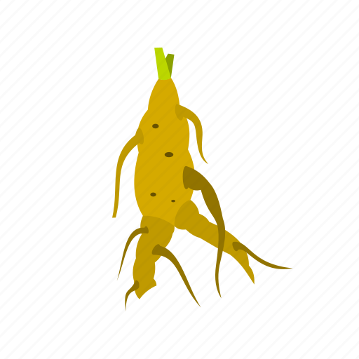 Bundle, china, choice, food, ginseng, root, vegetable icon - Download on Iconfinder