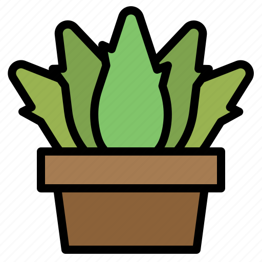 Aloevera, farming, gardening, medical, nature, plant icon - Download on Iconfinder