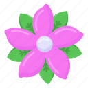jasmine, flower, floweret, nature, botany